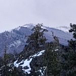 Parish Cabin Campground