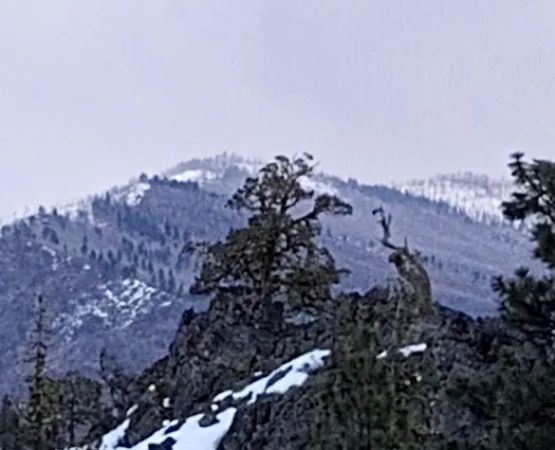 Parish Cabin Campground