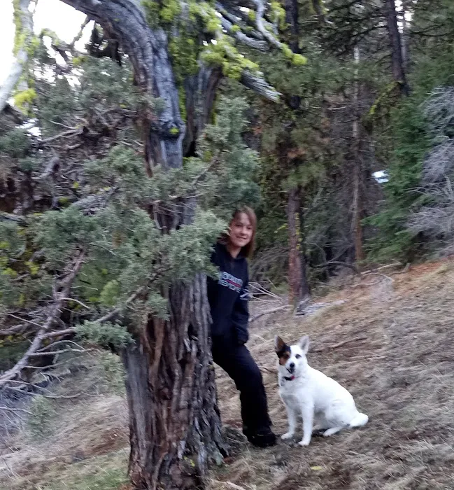 Parish Cabin Campground 3