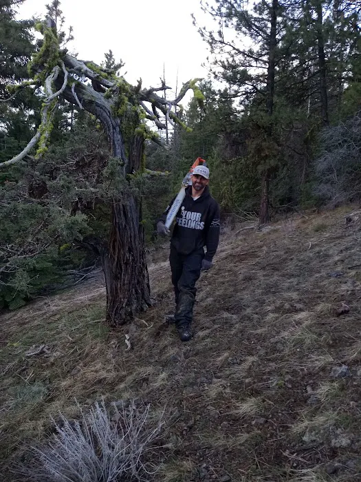 Parish Cabin Campground 6