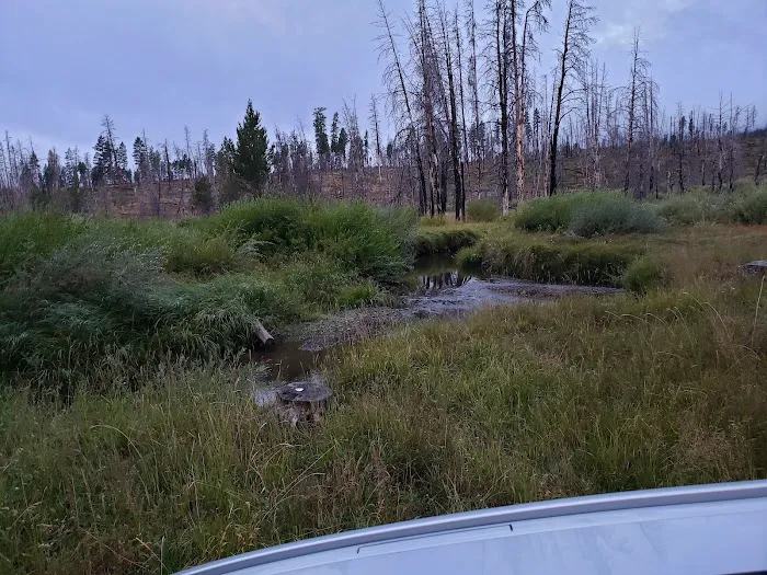 Parish Cabin Campground 7