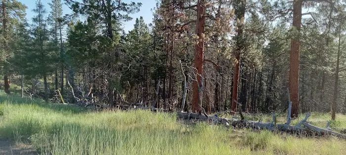 Mud Springs Horse Camp 0