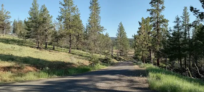 Mud Springs Horse Camp 2