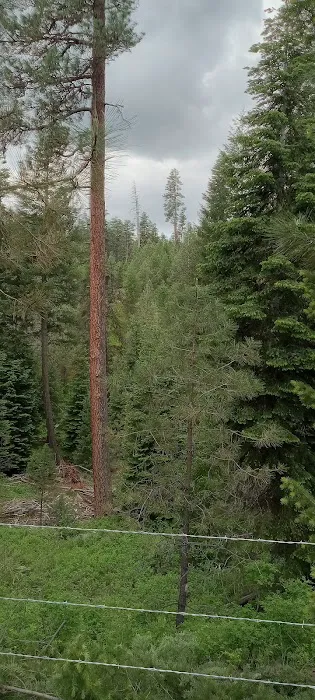 Mud Springs Horse Camp 1