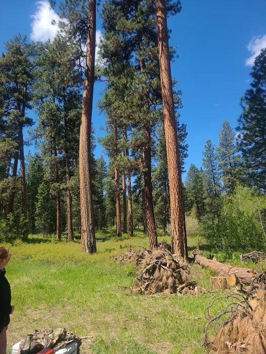 Frazier Springs Campground 2