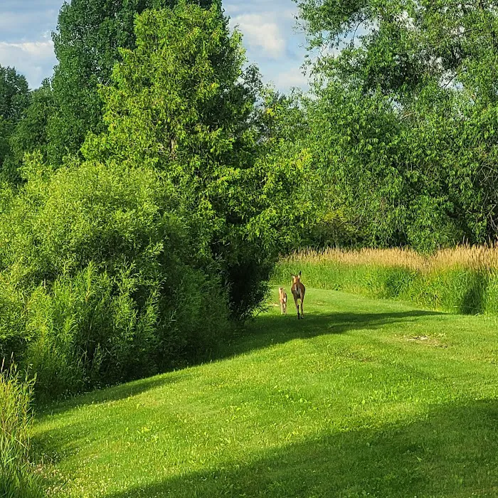 Spring valley ponds campground 2