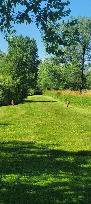 Spring valley ponds campground 6