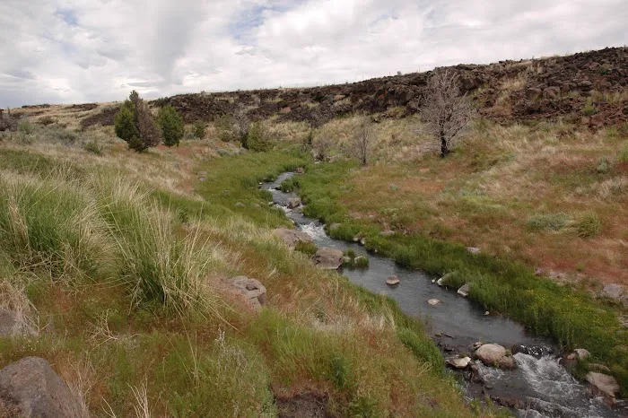 Ramhorn Springs Campground 7