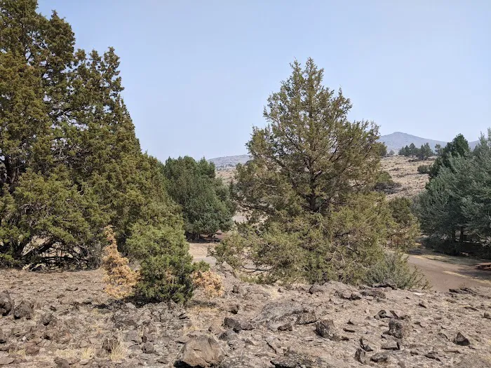 Ramhorn Springs Campground 6