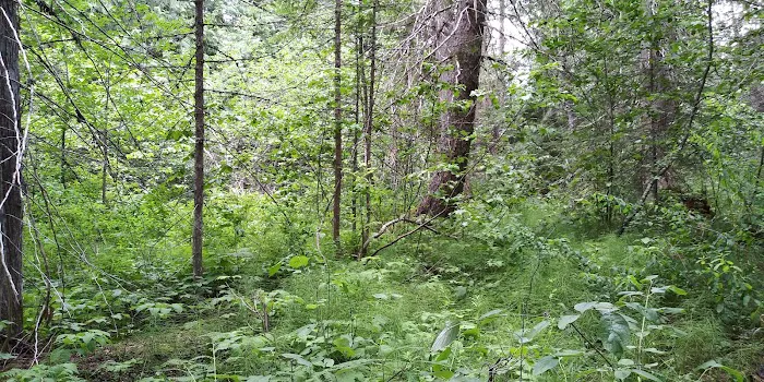 Meadow Creek Campground 0
