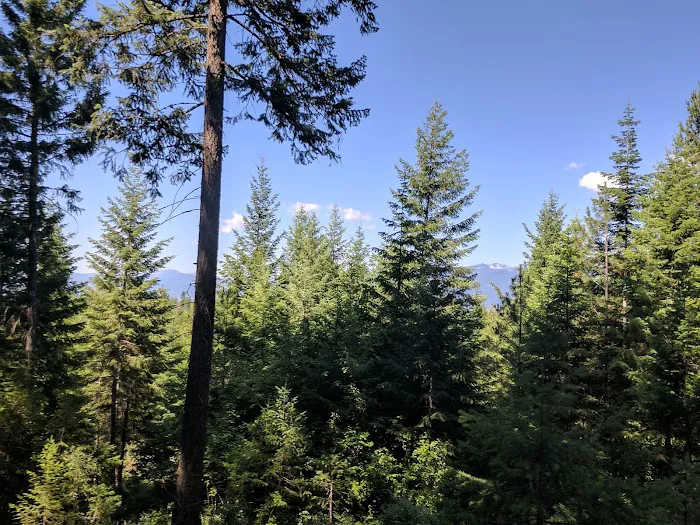 Smith Lake Campground 4