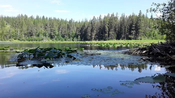 Brush Lake Campground 1