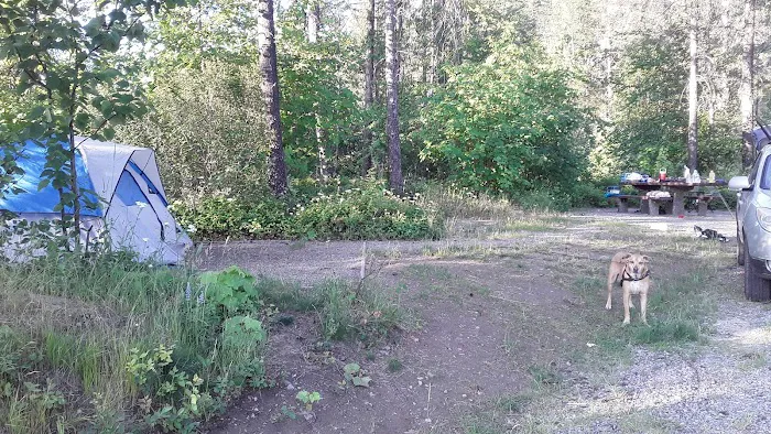 Brush Lake Campground 5