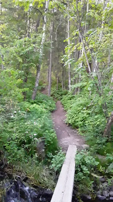 Brush Lake Campground 4