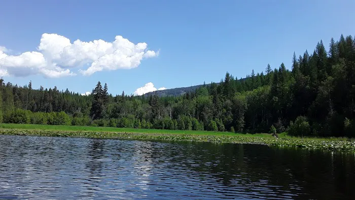 Brush Lake Campground 7