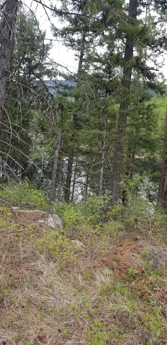 Brush Lake Campground 8
