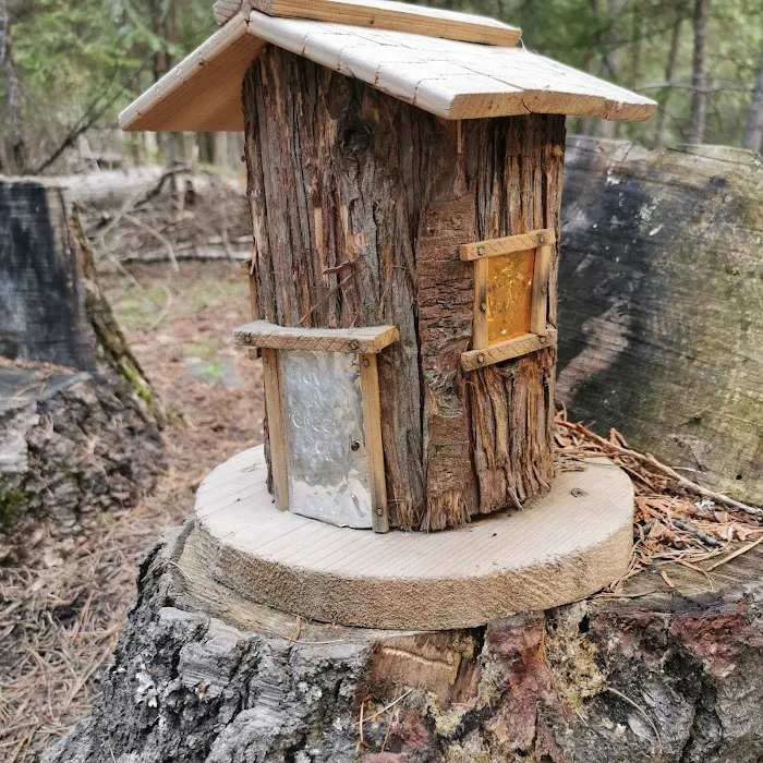 Robinson Lake Campground 1