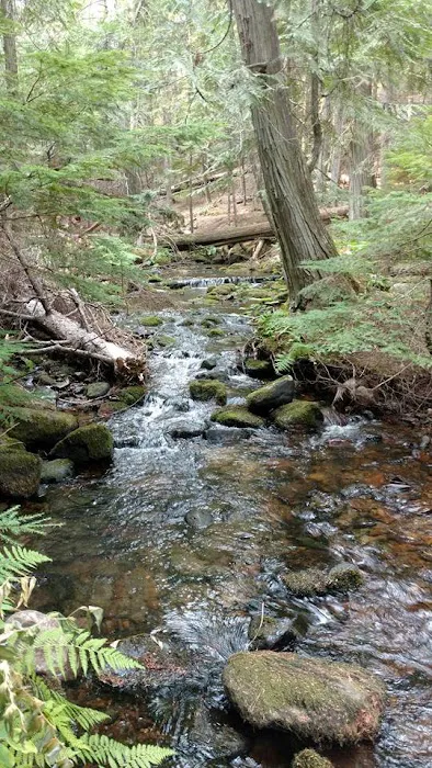 Robinson Lake Campground 3
