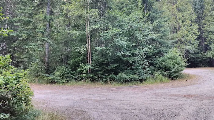 Robinson Lake Campground 4
