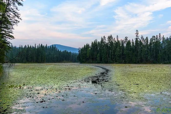 Robinson Lake Campground 7