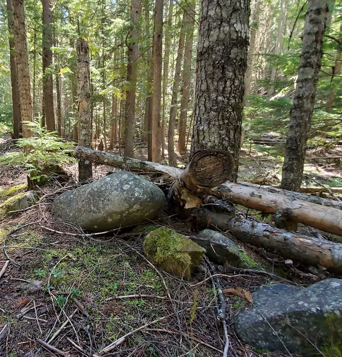 Robinson Lake Campground 8