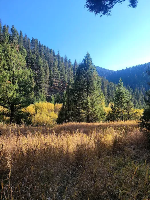 Aspen Grove Campground 2