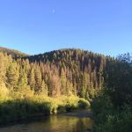 Aspen Grove Campground