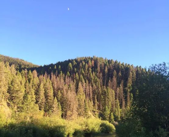 Aspen Grove Campground