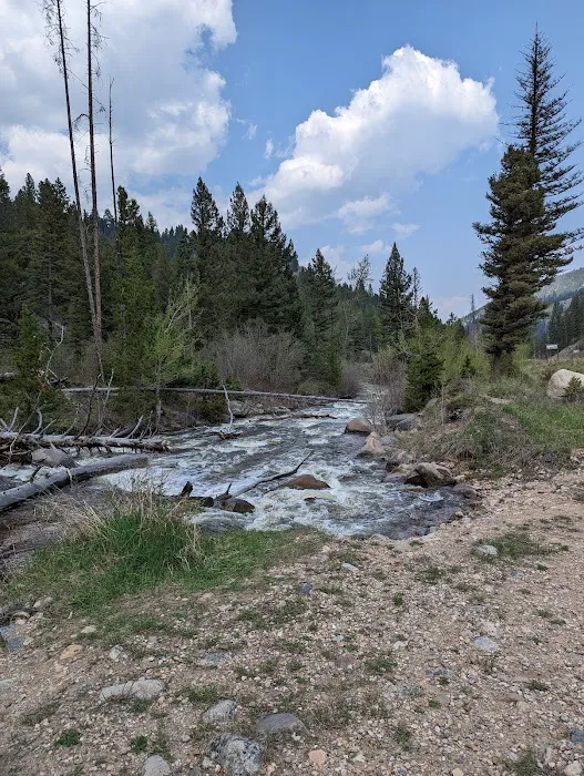 Moose Creek Campground 1
