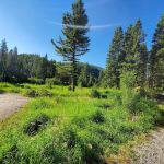 Moose Creek Campground