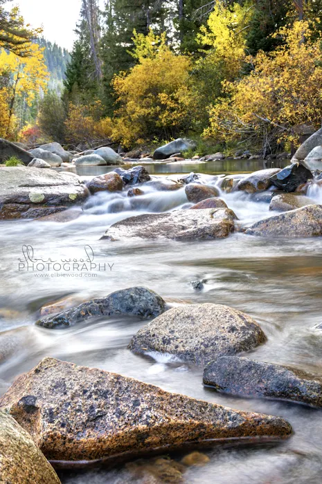 Moose Creek Campground 4