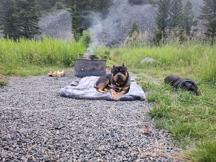 Moose Creek Campground 3