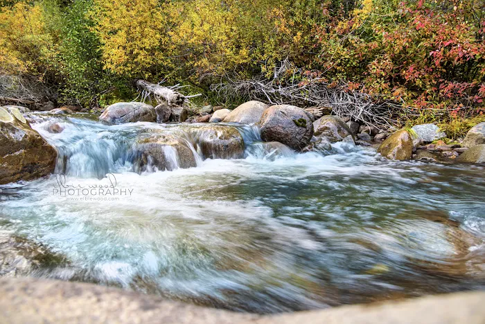 Moose Creek Campground 7