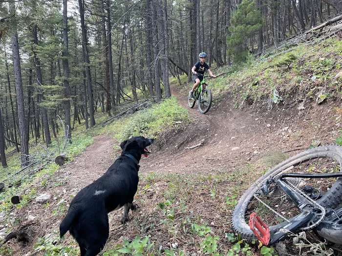 MTBCITY 6