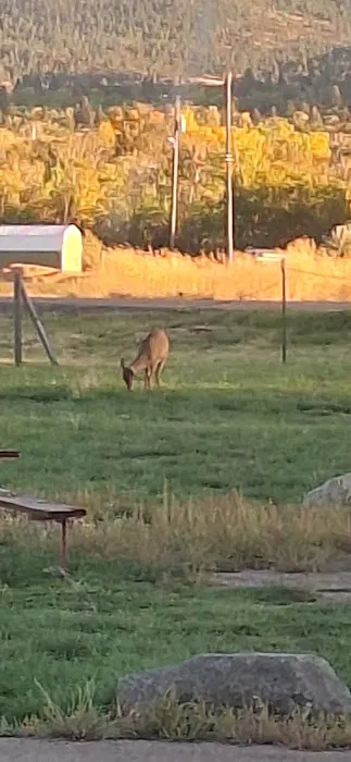 Lewis & Clark County Fairgrounds Campground 6