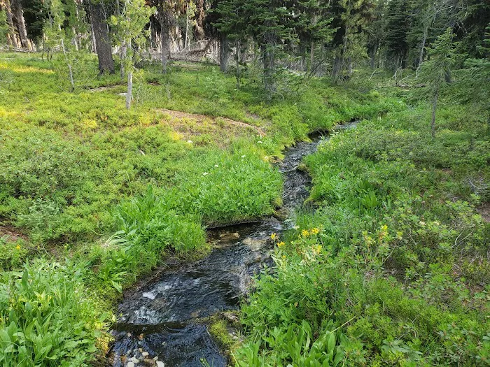 Observation Point Campground 0