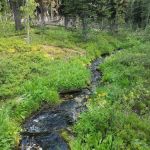 Observation Point Campground