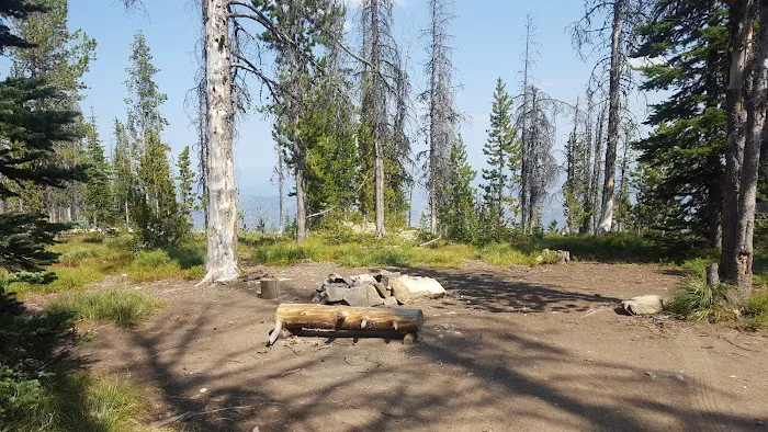 Observation Point Campground 1