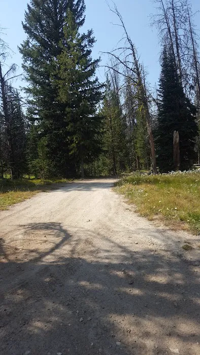Observation Point Campground 6