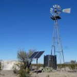 Papalote Llano Nuevo