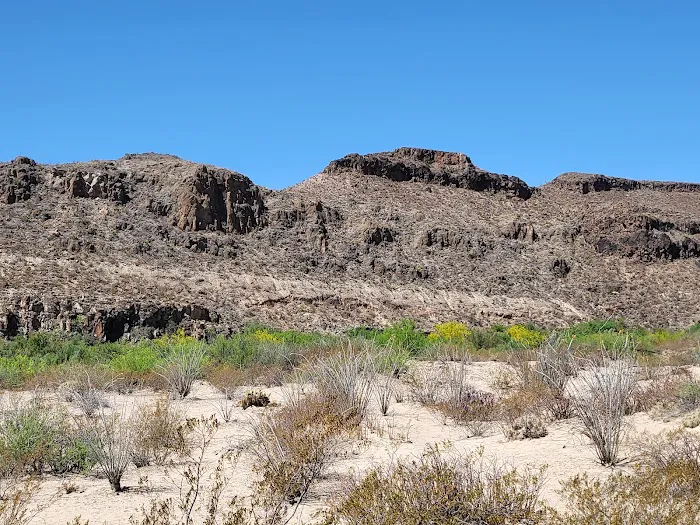 Arenosa Campground 2