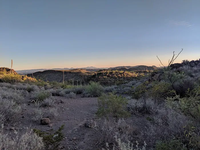 Fresno Vista Campground 2