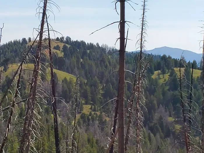 Indian Springs Campsite 0