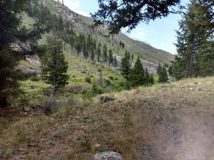 Tin Cup Campground 3