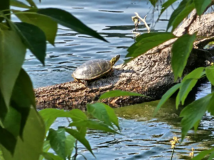 Conconully Lake 9