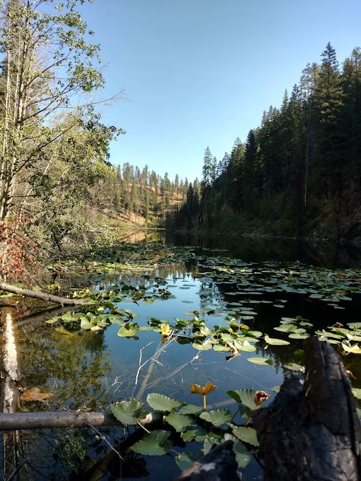 Rock Lakes Campground 1