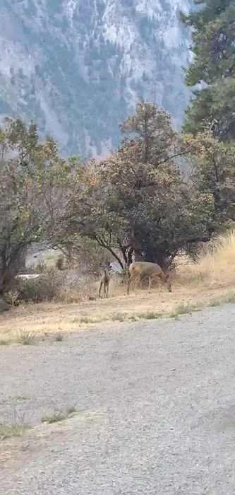 Palmer Lake Campground 2