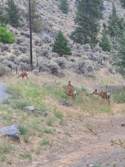 Palmer Lake Campground 3