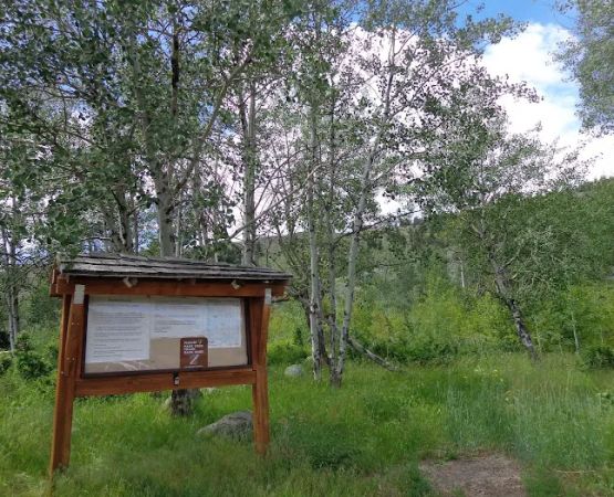 Palmer Mountain Campground