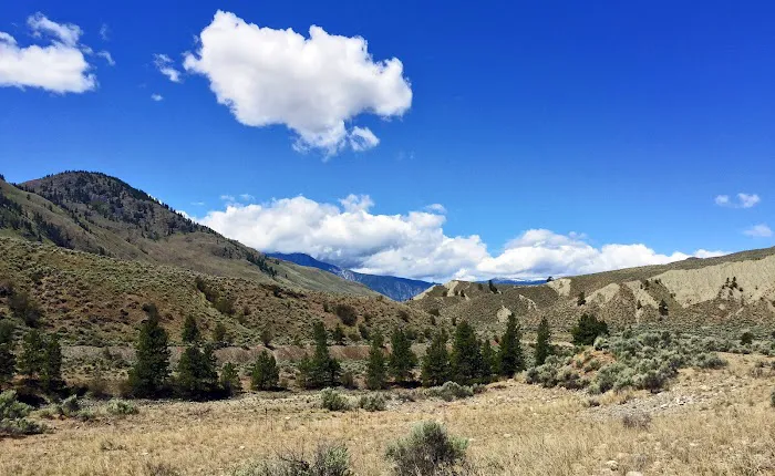Palmer Mountain Campground 7
